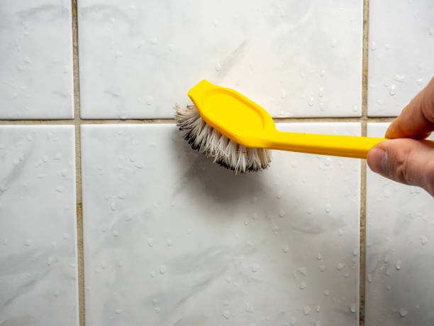 Best Toxic Mold Removal  in Johnsburg, IL