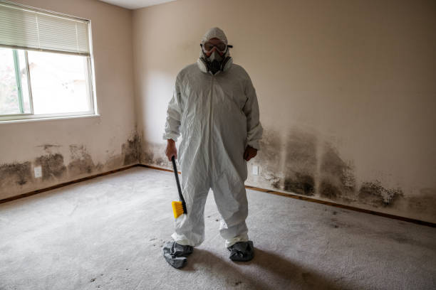 Trusted Johnsburg, IL Mold Removal Experts